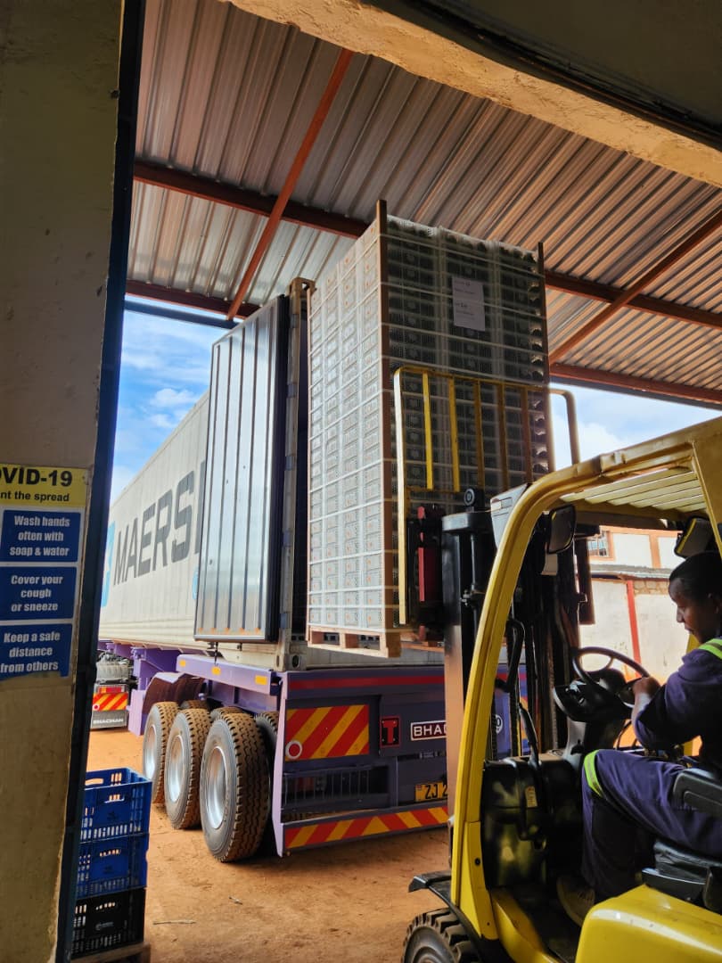 Fresh Produce Export